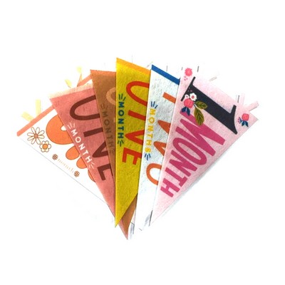 Custom Full Color Felt Pennant