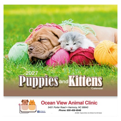 Puppies & Kittens Wall Calendar: 2027 Stapled